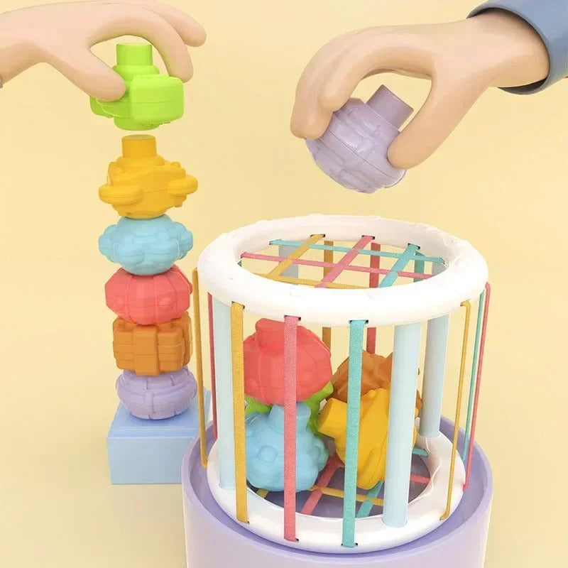צעצועי מיון ולמידה לתינוקות – משחק מונטסורי לפיתוח חושי מגיל 0 עד 12 חודשים